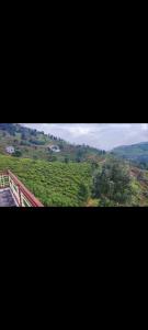 Fotografie z fotogalerie ubytování Namaste ooty v destinaci Ooty