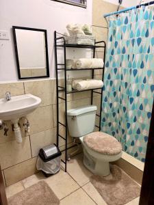 a bathroom with a toilet and a sink and a shower at Apartamento - Casa Calderon, zona céntric in San Pedro Sula
