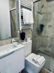 a bathroom with a toilet and a sink and a shower at Villa Olas y Llamas Ciudad, mar y naturaleza in Santander