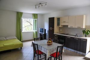 Kuchyň nebo kuchyňský kout v ubytování Apartments Antunović