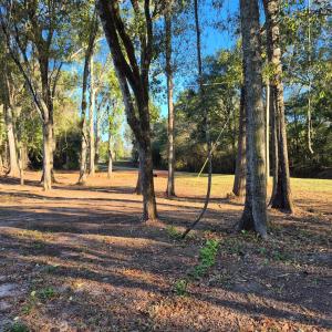 Gallery image of The Owl's Nest in Evergreen