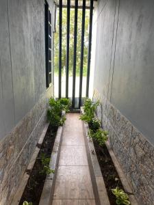 Aed väljaspool majutusasutust Casa Finca campestre +2 fotot