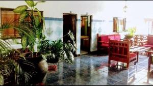 a living room with potted plants and a red chair at Hotel Dulce Morelia in Morelia