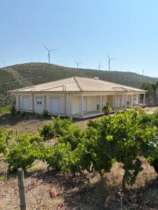 a house in the middle of a vineyard at Villa Quinta Dom Reis in Batalha