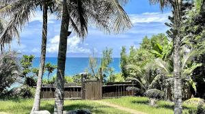 a view of the ocean from a yard with palm trees at 月伴灣海景沙灘民宿 in Beinan +6 photos