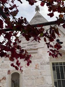Φωτογραφία από το άλμπουμ του Trulli La Quercia del Nonno σε Locorotondo