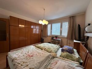 Postel nebo postele na pokoji v ubytování Retro apartment with three rooms