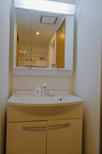a bathroom with a sink and a mirror at 位于新桥的2卧室公寓 in Tokyo +20 photos