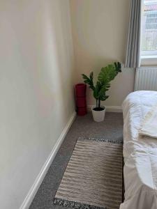 a bedroom with a bed and a potted plant at Cosy 1 bedroom flat Oxford in Oxford