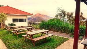 Příroda nedaleko hotelu