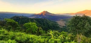 Příroda nedaleko hotelu