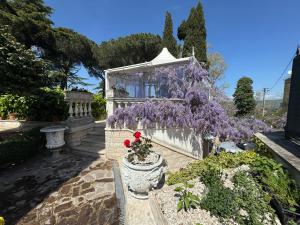 a garden with a wreath of purple flowers and a building at Relais Terrazza sul lago Castelgandolfo in Marino