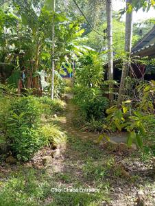 a path through a garden with trees and plants at Chor Chaba in Ko Kood