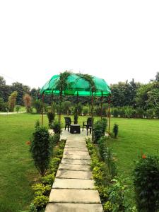 a patio with benches and a green umbrella at Nature Homestay in Varanasi