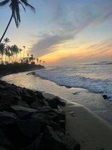 una playa con una palmera y el océano en Stay Salty, en Matara 9 fotos más