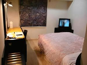 松山市にあるMatsuyama City Hotelのベッドとテレビのある寝室