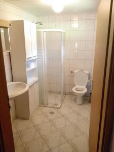 a bathroom with a shower and a toilet and a sink at Ferienhaus am Wäldchen in Uelsen