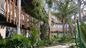 een tuin met palmbomen en planten in een gebouw bij New This is in Genting Highland hill -12mins walk 4pax in Genting Highlands
