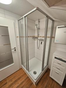 a walk in shower with a glass enclosure in a bathroom at Ferienwohnung Haldenblick in Weißensberg +3 photos