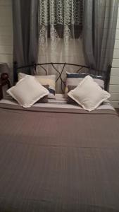 a bed with two pillows on top of it at Gîte au Carbet in Le Morne aux Bœufs +2 photos