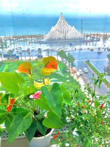 una planta en una ventana con vistas a la playa en Mermaid seaview Vũng Tàu - Khang Apartment 1, en Vung Tau