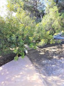 Galeriebild der Unterkunft La Casa del bosque in Valencia + 31 Fotos