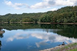 Příroda nedaleko apartmánu + 10 fotografií
