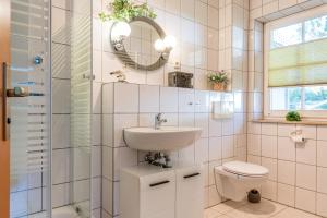 a bathroom with a sink and a toilet and a mirror at Jagdhaus Prerowstrom in Jagdhaus +20 photos