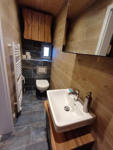 ein Badezimmer mit Waschbecken und Toilette in der Unterkunft Ferienwohnung Beim Schorsch in Schannenbach + 18 Fotos