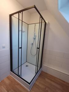 eine Dusche in einem Raum mit Glastür in der Unterkunft Ferienwohnung Beim Schorsch in Schannenbach