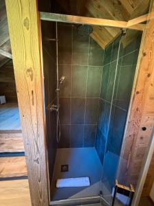 a bathroom with a shower with blue tile at Mazot de la Pointe Percée in Demi-Quartier