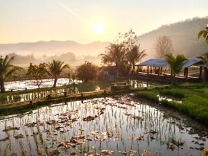 un étang avec un kiosque et un groupe de canards dedans dans l'établissement Maewin Farmer Homestay, à Ban Huai Rin