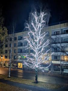 Fotografie z fotogalerie ubytování Nice and cozy city apartment, free parking v destinaci Kemi