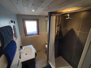 a small bathroom with a shower and a sink at Repos et nature au cœur des Alpes in Briançon