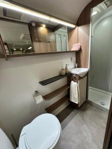 a small bathroom with a toilet and a sink at Caravana dintre nuci in Oradea +4 photos