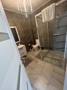 a bathroom with a shower and a toilet and a sink at Popasul Castelului in Hunedoara