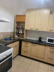 een keuken met houten kasten, een wastafel en een fornuis bij Electra apartment in Thiva +4 foto's