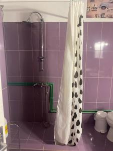 een douche in een paarse badkamer met een douchegordijn bij Electra apartment in Thiva