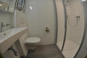 a bathroom with a shower and a toilet and a sink at Chateaupré D 01 in Grimentz