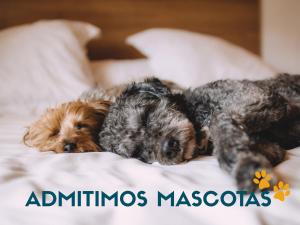 two dogs laying on top of a bed at Bungalows Pescador 3000 in Segur de Calafell