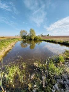 Φυσικό τοπίο κοντά σε αυτό το διαμέρισμα