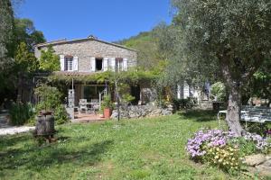 une maison en pierre avec un arbre dans la cour dans l'établissement Le BASTIDON de CHANTE PIERRE, à Cuers