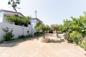 Κήπος έξω από το Myrsini's House - Neapoli Garden & Grove Retreat