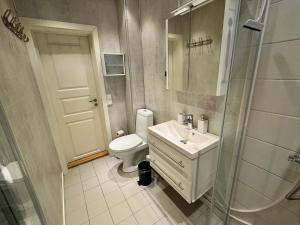 een badkamer met een toilet, een wastafel en een douche bij Spacious apartment in a quiet area in Narvik +5 foto's