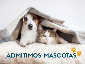 a dog and a cat laying under a blanket at Apartamentos La casa del Zapatero in Corvera