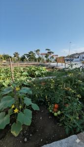 Ảnh trong thư viện ảnh của ooo ở Hatta