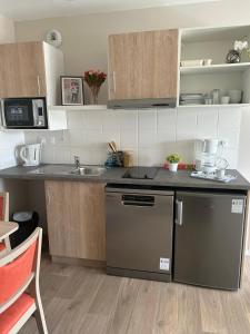 uma pequena cozinha com um lavatório e uma máquina de lavar louça em Wattrelos Appart'S em Wattrelos