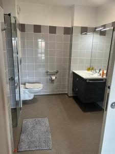 um banheiro com vaso sanitário e pia em Wattrelos Appart'S em Wattrelos