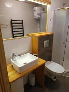 a bathroom with a sink and a toilet at Lukasowy domek w Puszczy Noteckiej in Biala +23 photos