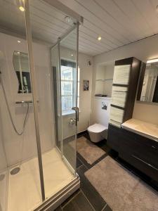 a bathroom with a glass shower and a toilet at Kilimanjaro & Stayover in Svinninge +146 photos